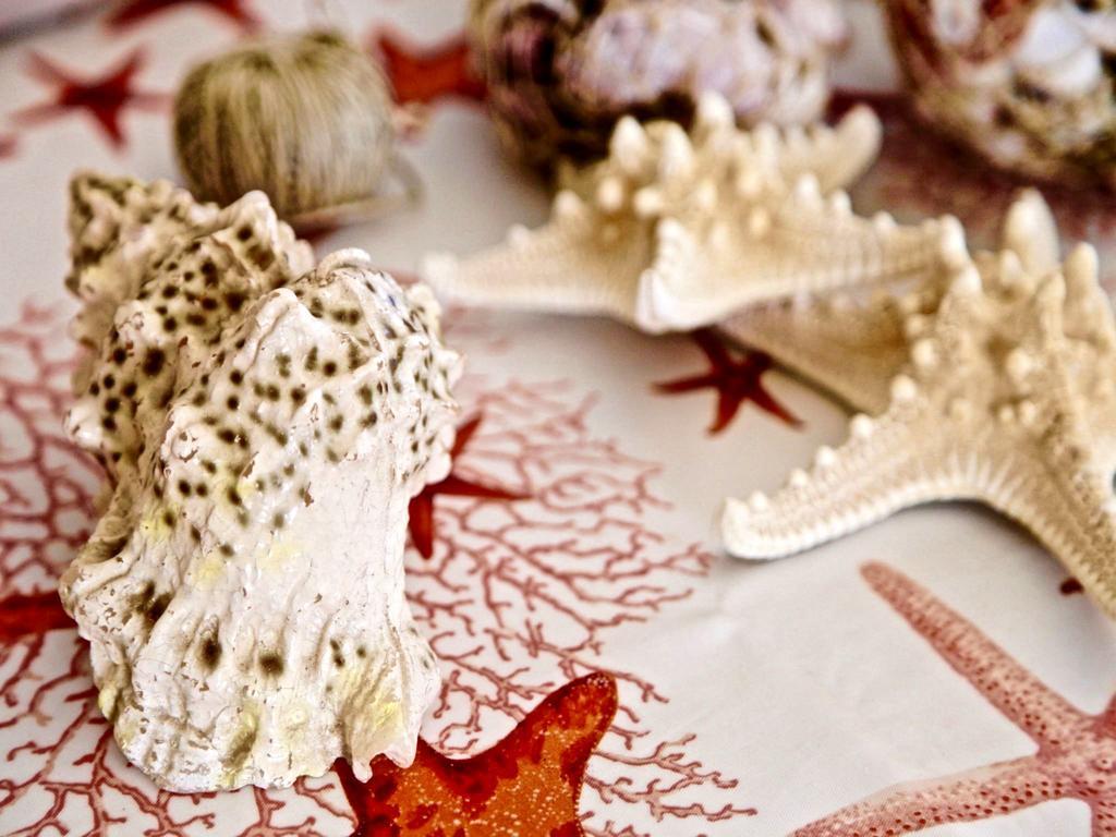 Villa Amare カンポフェリーチェ・ディ・ロッチェッラ エクステリア 写真